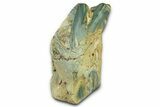 Free-Standing, Gary Green Jasper (Larsonite) Bog Wood - Oregon #334752-1